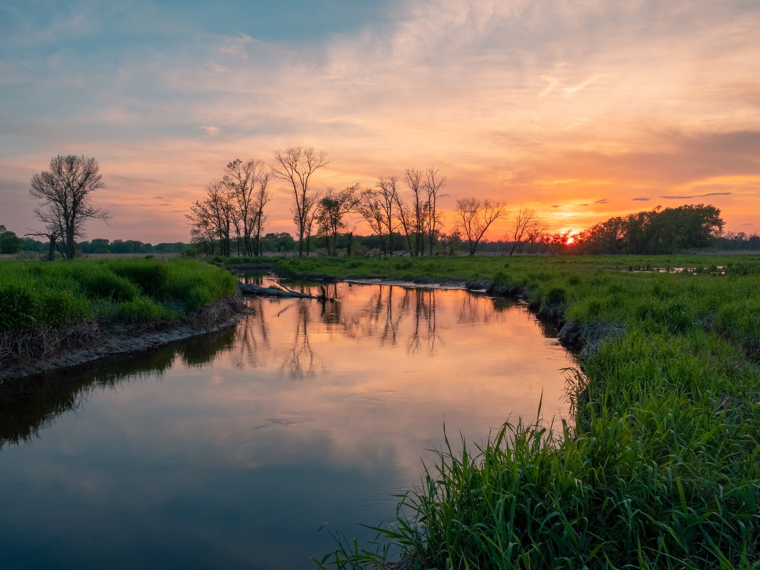 Wetland